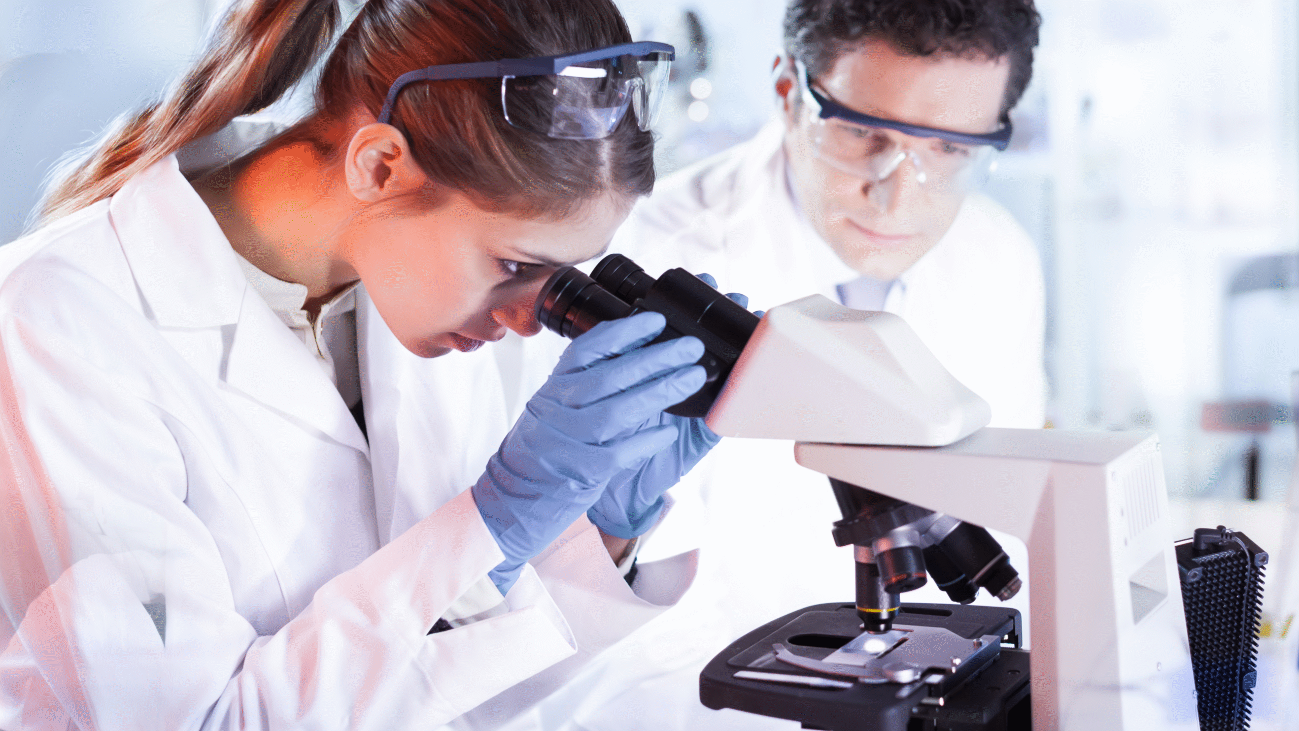Life sciences researchers analysing samples under a microscope in a biotechnology laboratory