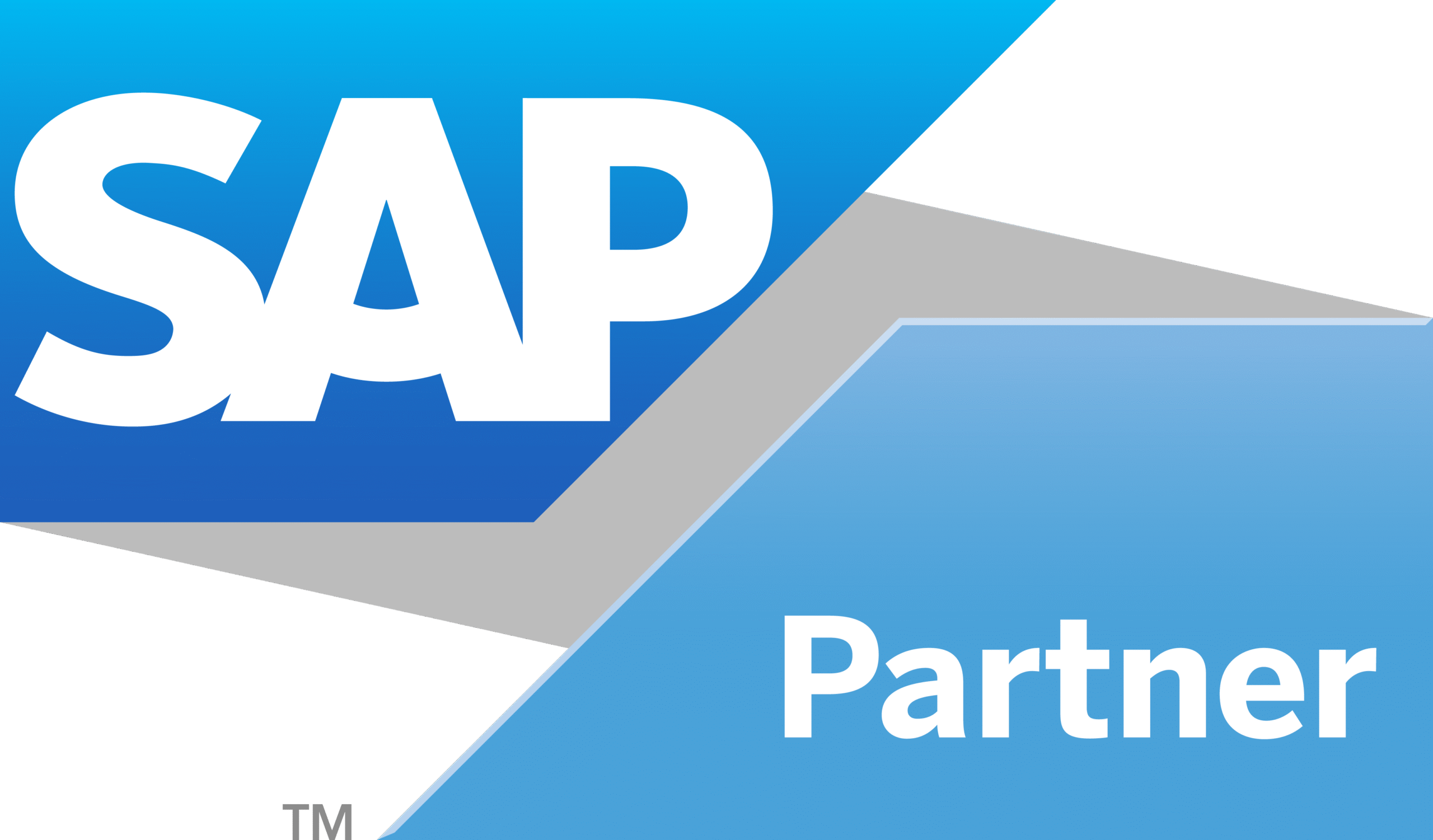SAP partner logo